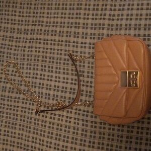 Aldo Purse